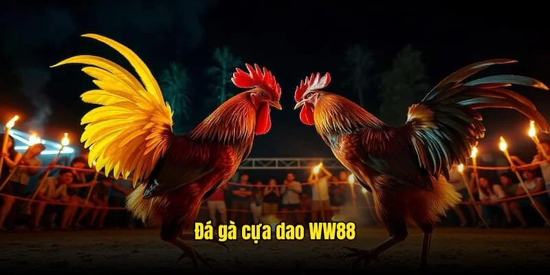 Đá Gà Cựa Dao WW88 - Chọi Kê Nảy Sửa, Sôi Động Năm 2025