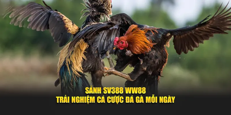 sảnh sv388 tại ww88