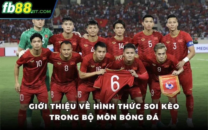 Giới thiệu về hình thức soi kèo trong bộ môn bóng đá