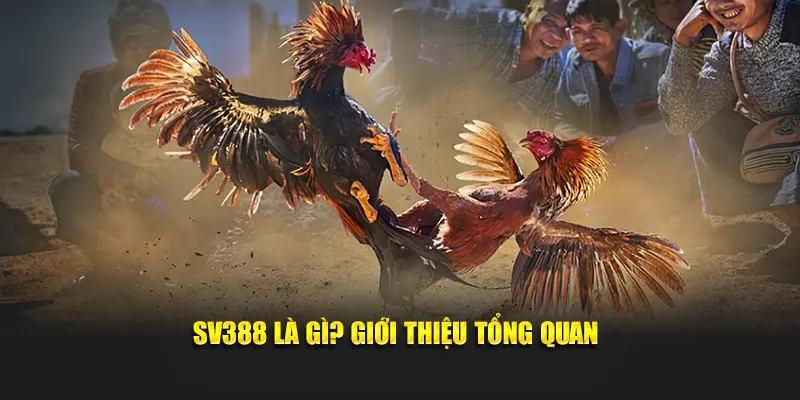 SV388 là gì? Giới thiệu tổng quan